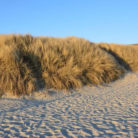 公寓 Theodor-storm-str-6-wohnung-5