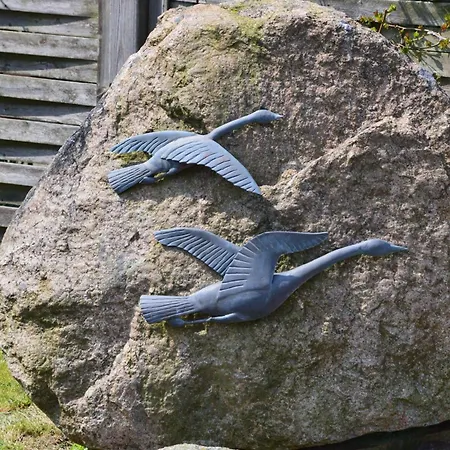 公寓 Theodor-storm-str-6-wohnung-5